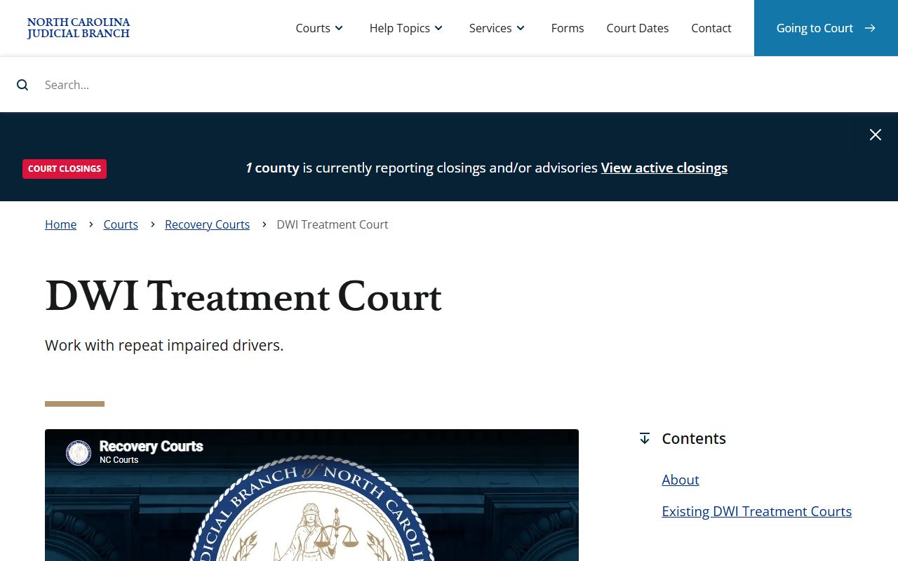 Buncombe County DWI Treatment Court recovery court page for traffic court records