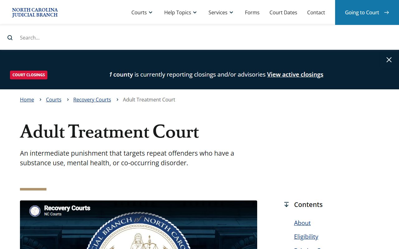 North Carolina Adult Treatment Court program serving Buncombe County court records cases